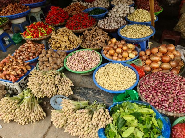 Découvrez le goût du matcha et ses bienfaits adaptogènes